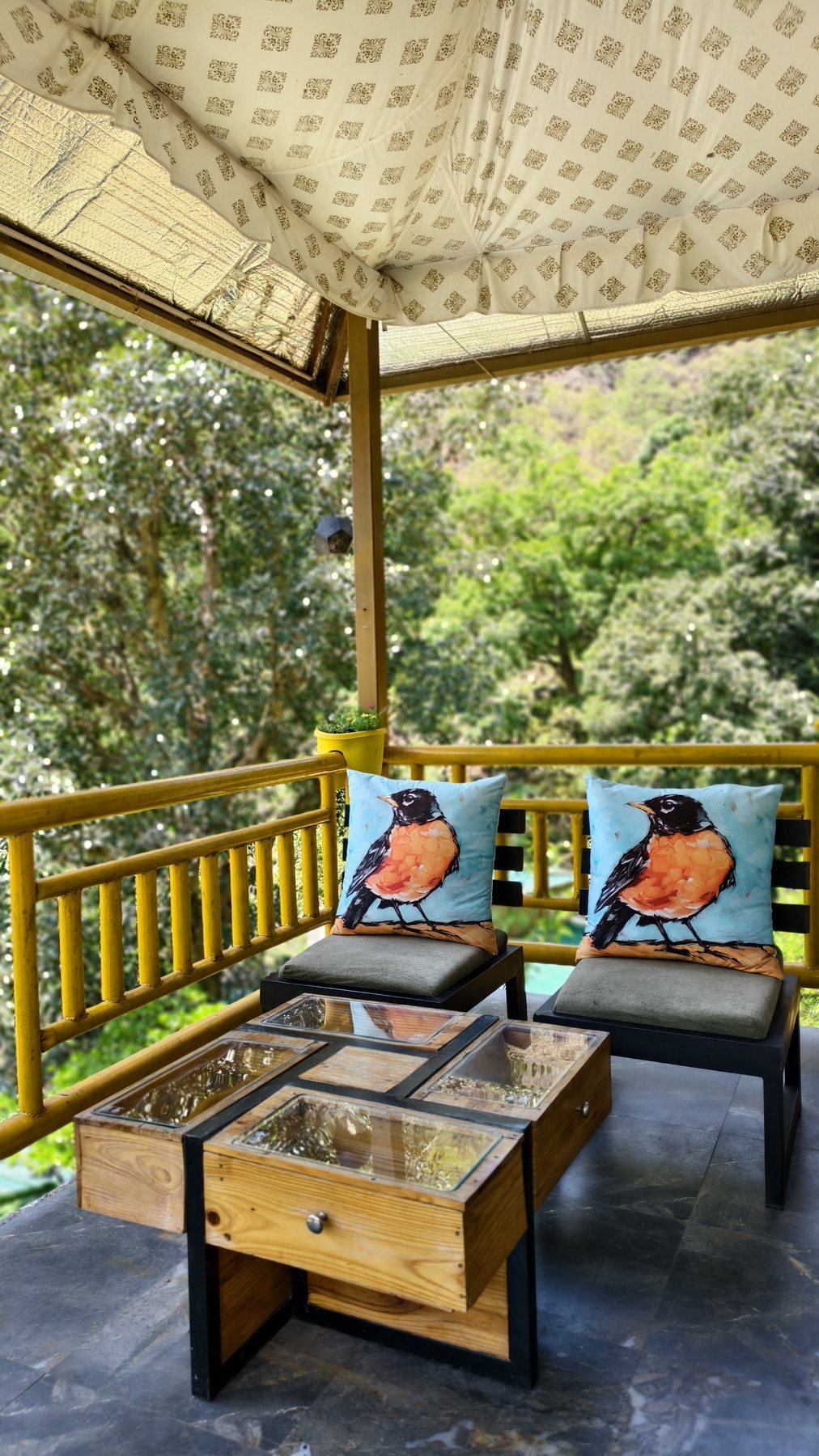Astro Himalayan retreat — Balcony 4